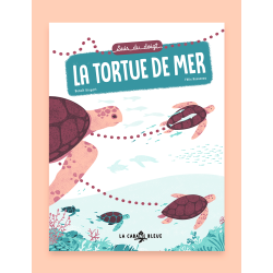 Suis du doigt la tortue de...